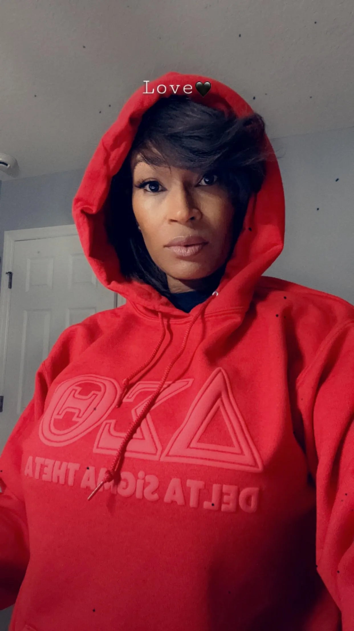 Color Block Greek Letters HOODIE