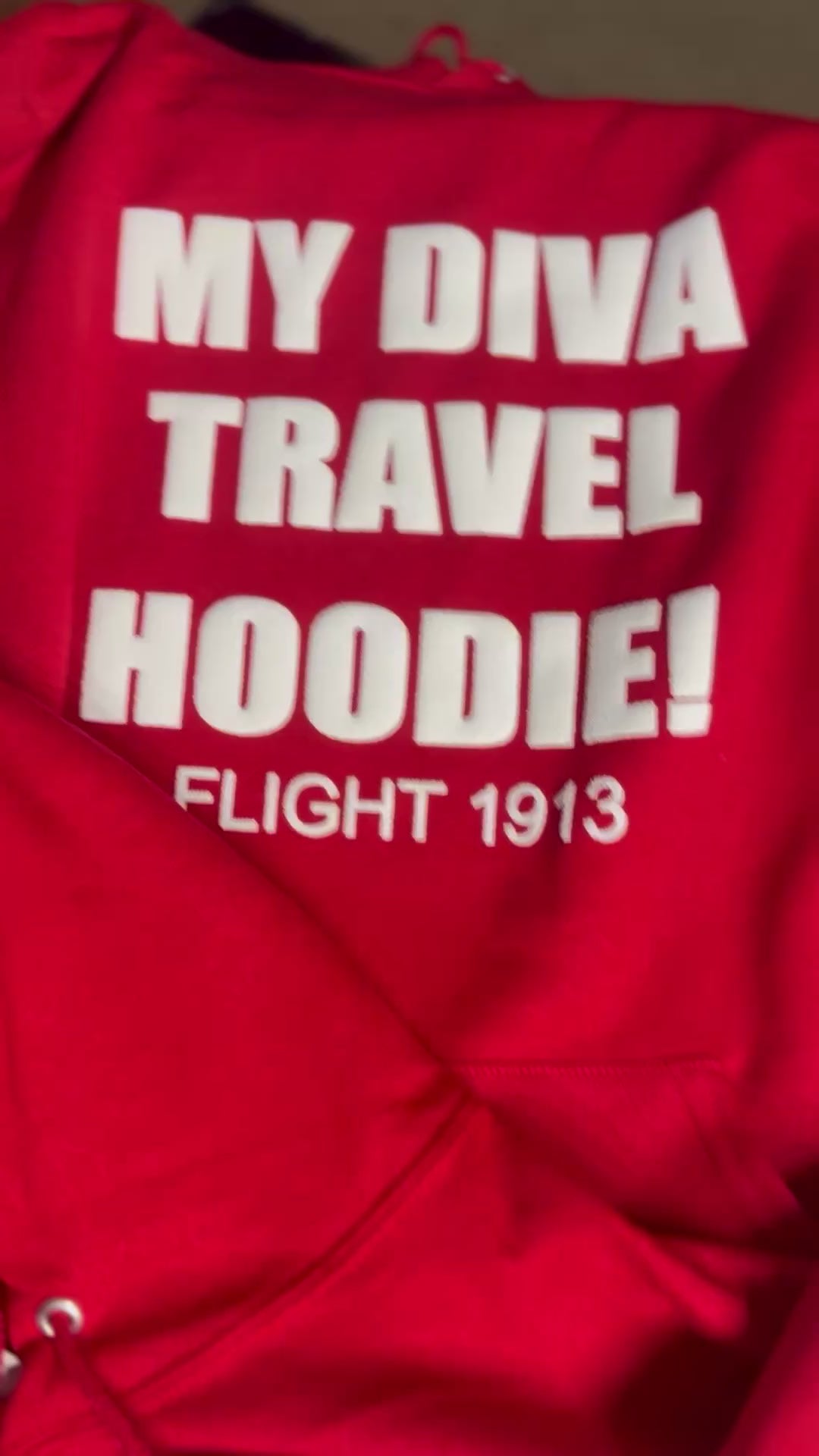 Delta Sigma Theta Puff Print Hoodie